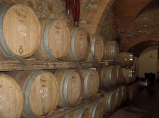  visit the winery 